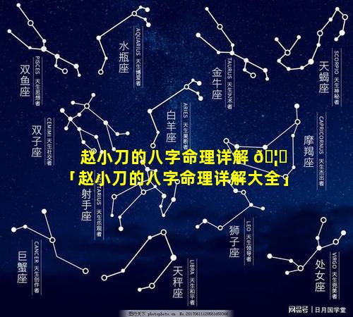赵小刀的八字命理详解 🦆 「赵小刀的八字命理详解大全」